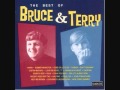Bruce & Terry - Girl, It's Alright Now (1966) 