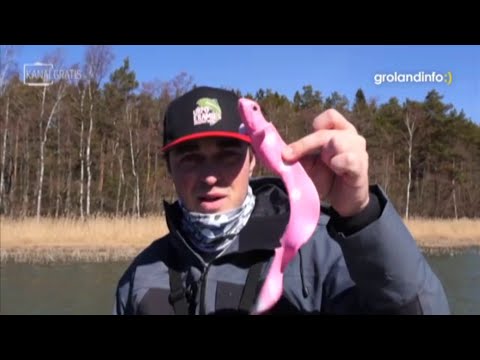 Grolandinfo du 12/10/2019 - Groland - CANAL+