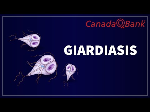 Giardiasis Explained: Causes, Symptoms, Diagnosis & Treatment | CanadaQBank