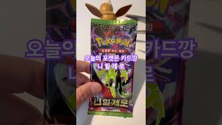 오늘의 포켓몬 카드깡 #포켓몬카드 #포켓몬카드깡 #포켓몬카드개봉 #포케몬카드깡 #이브이 #pokemoncards #pokemon #포켓몬 #포켓몬스터 #니힐제로