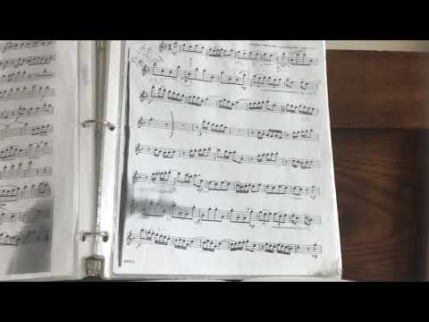 Scherzando (from Trio Sonata for Flute, Violin, and Piano)