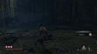 Sekiro™: Shadows Die Twice_O-Rin of the Water; 隻狼: 暗影雙死_水生阿凜