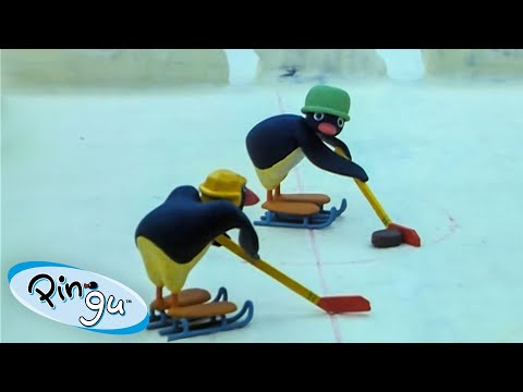 Pingu's Favorite Sports 🐧 | Pingu – Official Channel | Cartoons For Kids - Kids (0-4), Kingdom Kids Zone - Pingu - Official Channel