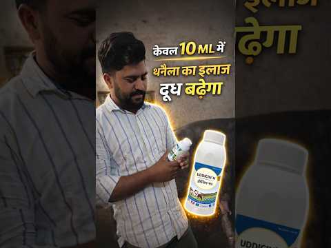 Uddicin-H - YouTube video