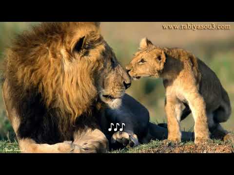 لا تغض الطرف عني - زياد شحادة Ziad Shehadeh