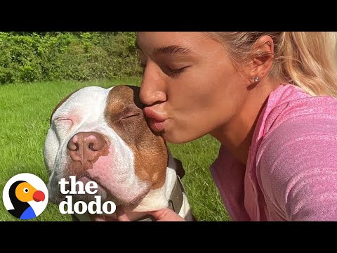 Sweet Dog Has To Wear A Muzzle Because Of His Breed | The Dodo