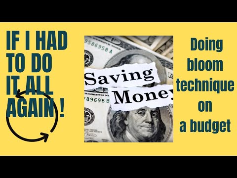 241-- Creating blooms need not be expensive. Check videos I made 🍀🤞