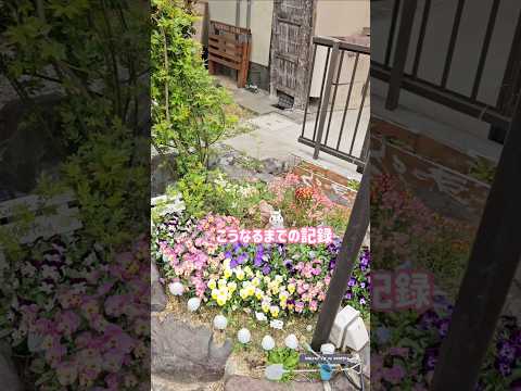 自然に土地をきれいにする方法は？雑草とイバラの駆除方法をご紹介します！  庭園