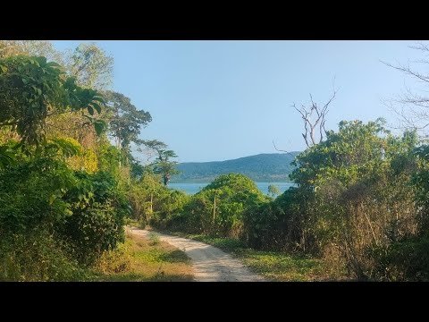 Manjari vlog #andamanbeach #nature #travel #andamanseaview #beach #beautiful #view  #video