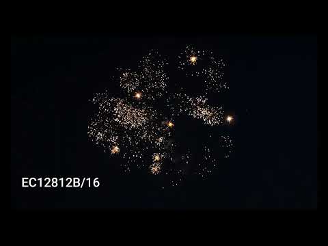 CALLISTO - EC12812B/16 - www.pyro.md