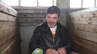 У Харківському цирку показали, у яких умовах тримають тварин