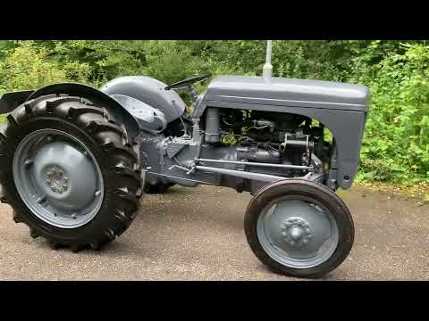 Restoration, first drive, Massey Ferguson Te 20, woodland