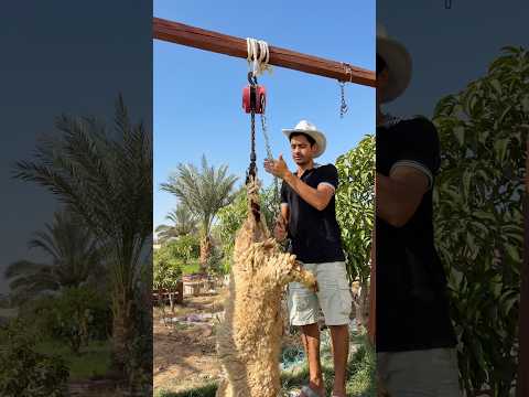 An Amazing Way to Cook a Whole Lamb Outdoors #shorts
