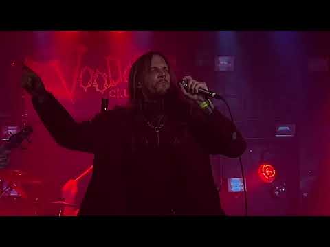 vokkr - esencja  (Voodoo live 24.01.26)