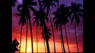 BAMIL - PUERTO RICO (TIERRA DE MIS AMORES) VIDEO