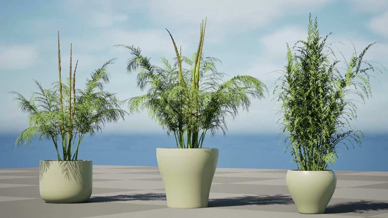 Caule brota planta de espargos Modelo 3D