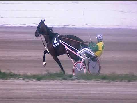 Trotto 26/03/2019 - 6ª corsa