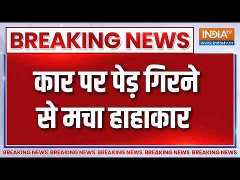 Breaking News : कार पर पेड़ गिरने से मचा हाहाकार | UP News Latest | Bareilly Updates