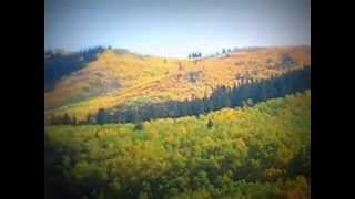 preview picture of video 'Fall beauty of the Colorado Mts'