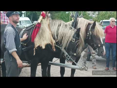 Kultur Pur#86.7 Seebrugg/ IG Dreiseenbahn/ P8 2455 + Fuhrwerk