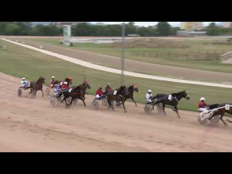 2022.05.28. 01. futam - NYERETLENEK VERSENYE - BABÉR DÍJ