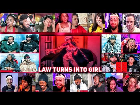 Law Turns into Girl Reaction Mashup | One Piece Episode 1093 Law vs Blackbeard