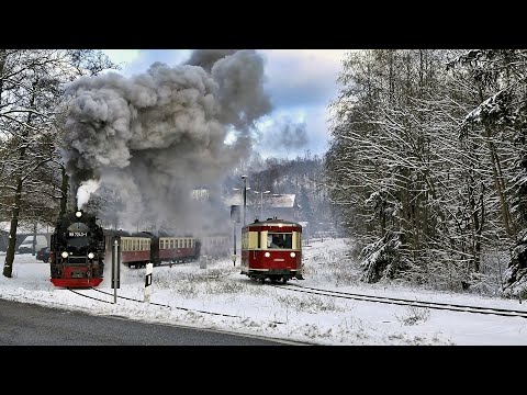 🚂Selketalbahn⛄Januar 2025❄️