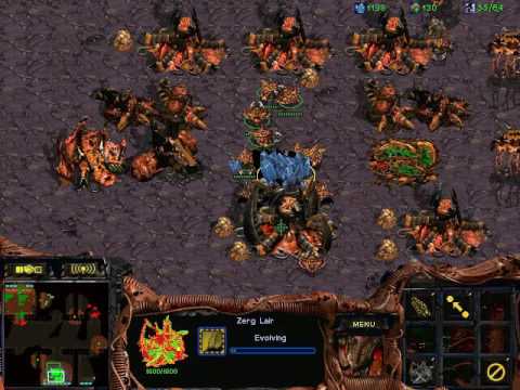 StarCraft: Brood War fastest map vs noobs 15