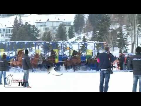 Ski joring à St Moritz (Suisse) : un grand coup d'adrénaline!
