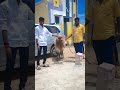 Jallikattu Video Madurai Jallikattu Jallikattu Status Avaniyapuram Jallikattu Madurai Status