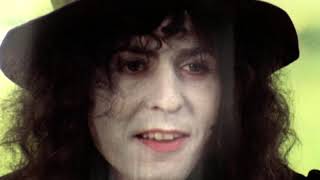 T. Rex