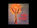 Robin Trower - Sheltered Moon  (album Roots And Branches)