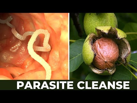 Ova biljka koja čisti Vaše tijelo od parazita!