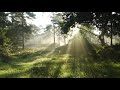 Emily Potthast - Cover of Eluvium Hymn #1