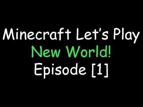 Unleashing ItsQQ in New World: Minecraft EP1