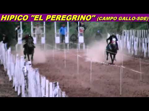 BONITA en HIPICO "EL PEREGRINO" (CAMPO GALLO-SDE 16-05-26)