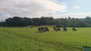 preview picture of video '04 - Battle of Hastings - Norman cavalry exhibition'