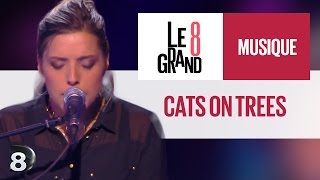 Cats On Trees - Love You Like A Love Song (Live @ Le Grand 8)