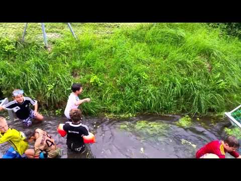 Cold Water Challenge SK Hippach U12