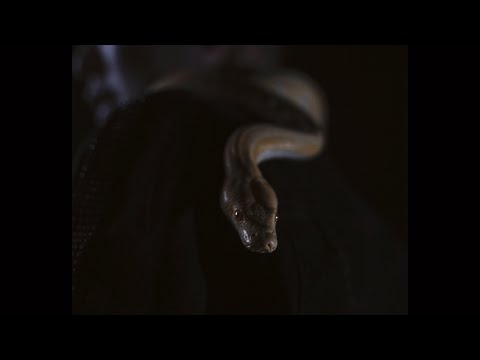 COL’CHAIN - CALL (Official MV)