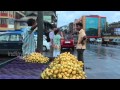 Forest Fruits Andaman Market Shopping