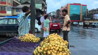 Forest Fruit Crops of Andaman and Nicobar Islands  