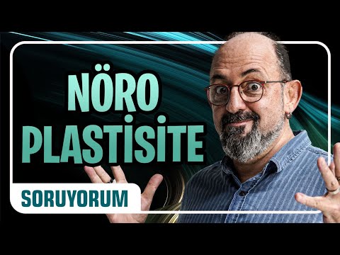 Nöroplastisite (Beynin Esnekliği) I SoruYorum