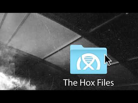 The Hox Files [MASHUP/EDIT PACK]