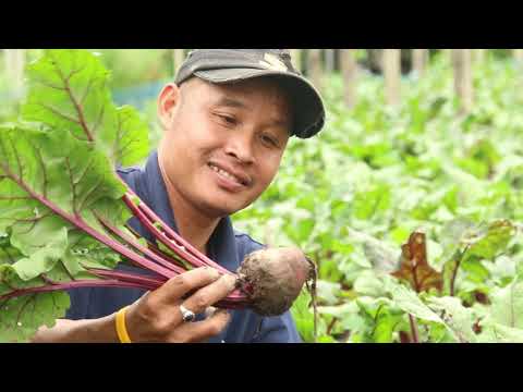 Mae Hae Royal Project Development Center