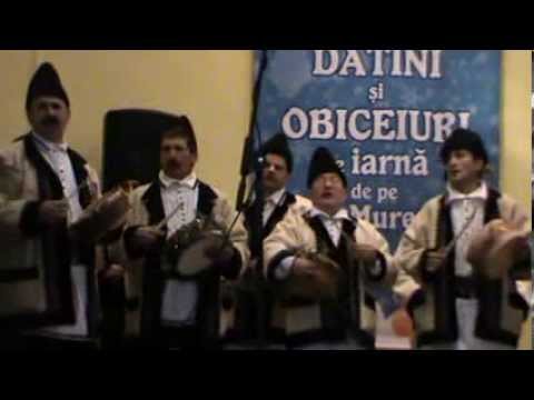 Dubasii din Lasau la Ilia 2013