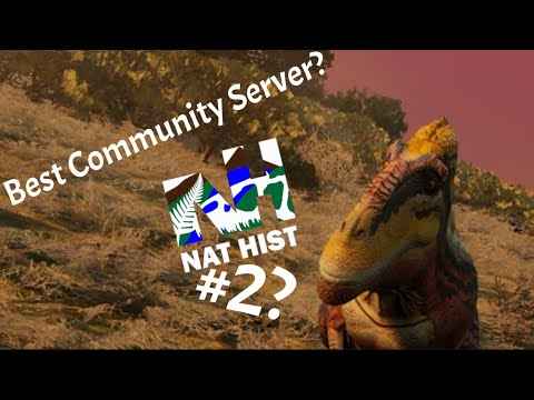 What’s the best community server in Path Of Titans? | Top 5 Best community servers for PoT