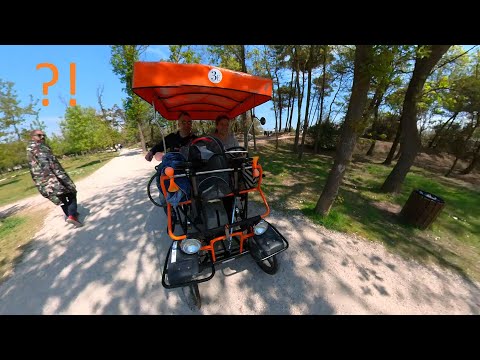 Col risciò nel bosco!  -  Pinarella di Cervia - Milano Marittima