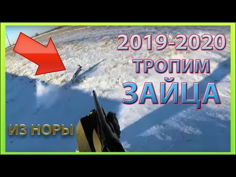 ☝▶ Охота на зайца 2019 - 2020, Заяц из норы, зимняя охота на зайца, тропим зайца русака по снегу