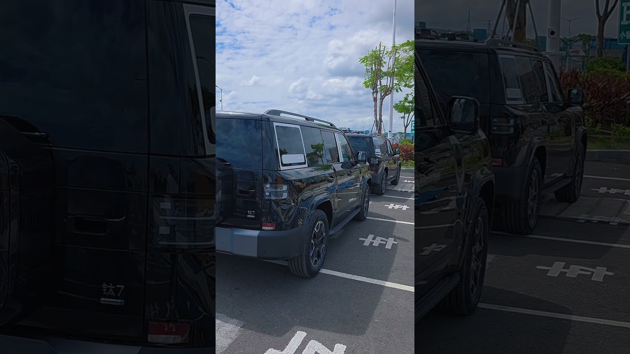 BYD Leopard Titanium 7 190KM four-wheel drive Ultra version video